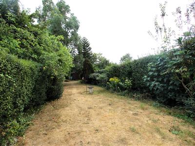 Picture 23
